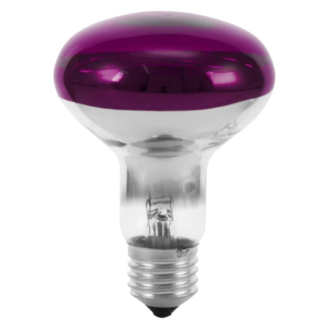 Omnilux R80 230V/60W E-27 violett (60 W, E27) (9210440U)