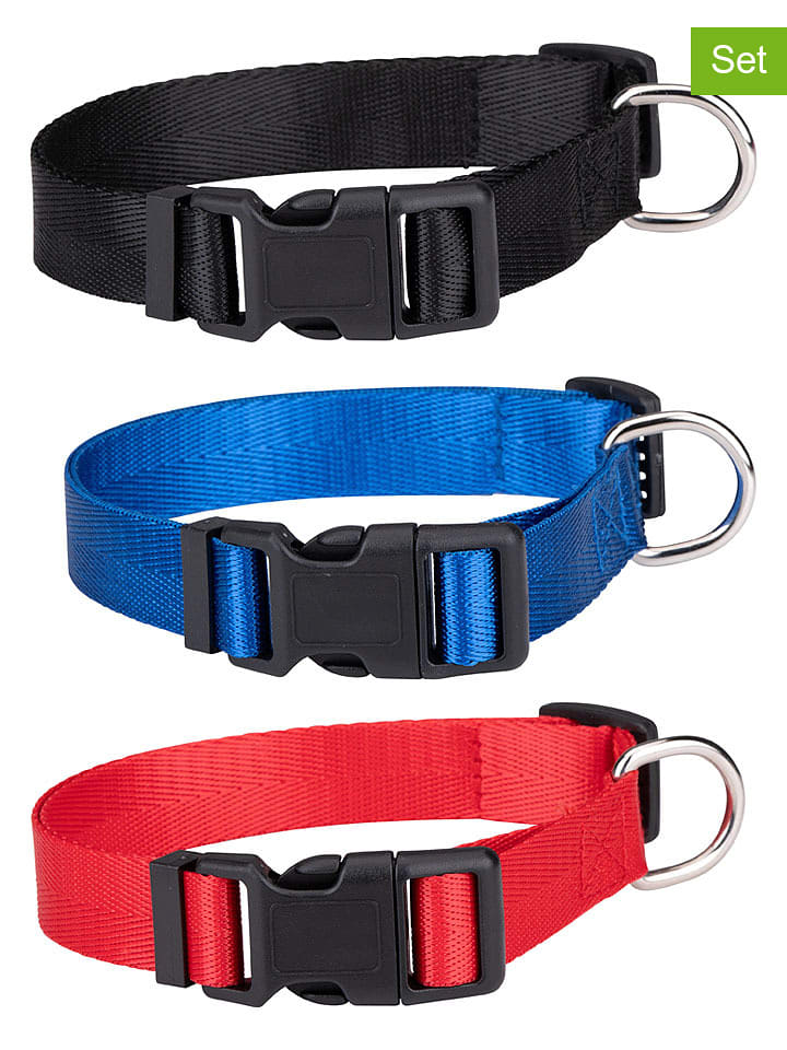 Edco 3er-Set: Hundehalsband in Bunt - (Überraschungsprodukt) - onesize