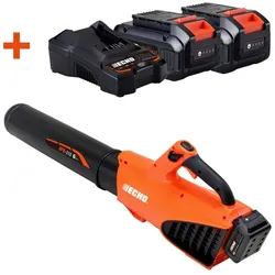 DPB-310 Akku Blasgerät Set 2x 4AH Akku + Ladegerät