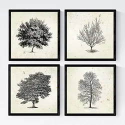 POSTER Set mit 4 Blättern der Caduda und immergrüne Jahrgang Hintergrund 20x20cm Rahmenlos