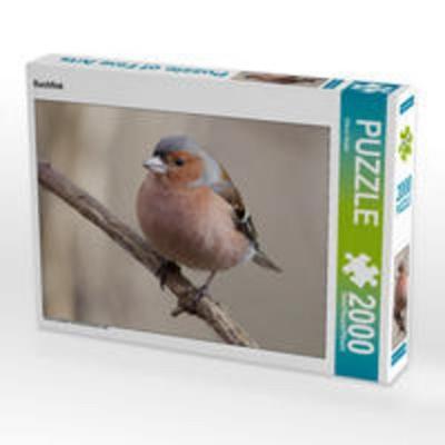 CALVENDO Puzzle Buchfink | 2000 Teile Lege-Größe 90 × 67 cm Foto-Puzzle für glückliche Stunden
