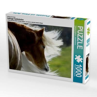 CALVENDO Puzzle Ein Motiv aus dem Kalender Haflinger Schönheiten | 1000 Teile Lege-Größe 64x48cm Foto-Puzzle für glückliche Stunden