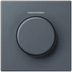 Jung Abdeckung mit Lichtleiter LC 1940 KO5 262