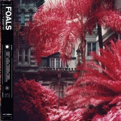 Everything Not Saved Will Be Lost Pt. 1 - Foals, Vinyl