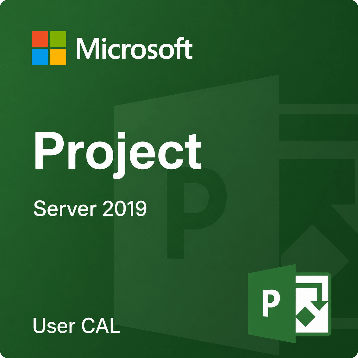 Microsoft Co Microsoft Project Server 2019 User CAL DG7GMGF0F4LF:0001