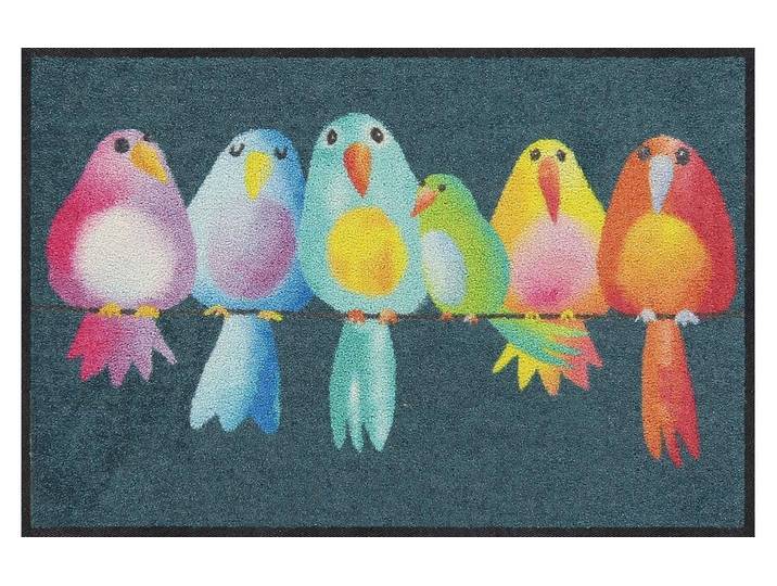 Fussmatte SALONLOEWE Rainbow Birds Fussmatte , bunt, B:50cm L:75cm, Kunstfaser, Teppiche, Fussmatte