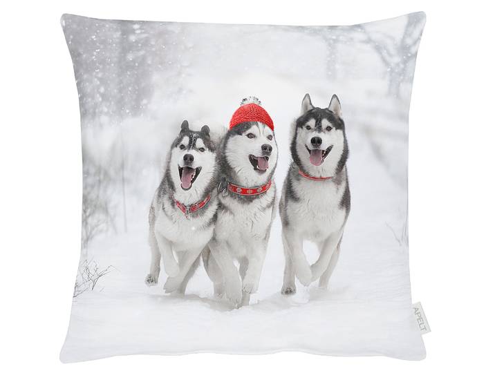 Dekokissen APELT 3701 , weiss (weiß, bedruckt), B:45cm H:5cm L:45cm, Baumwolle, Polyester, Dekokissen_Sitzkissen_Kissenhüllen, Dekokissen