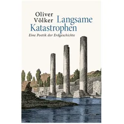 Langsame Katastrophen, Fachbücher von Oliver Völker