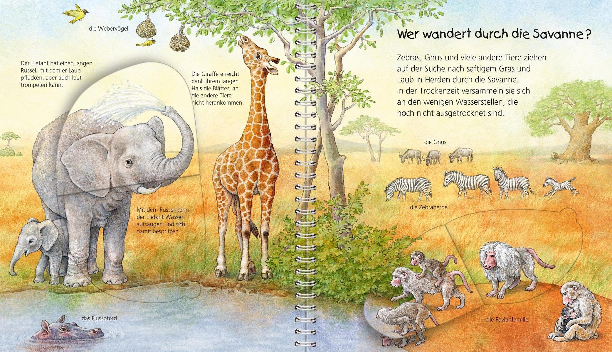 Lexikon RAVENSBURGER "Wieso? Weshalb? Warum?, Mein junior-Lexikon Tiere", bunt (weiß, neutral), B:18cm H:20cm, Bücher, Lexikon, Made in Europe