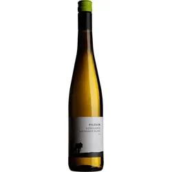 Sauvignon Blanc vom Quarzit Weingut Pflüger 2025 BIO