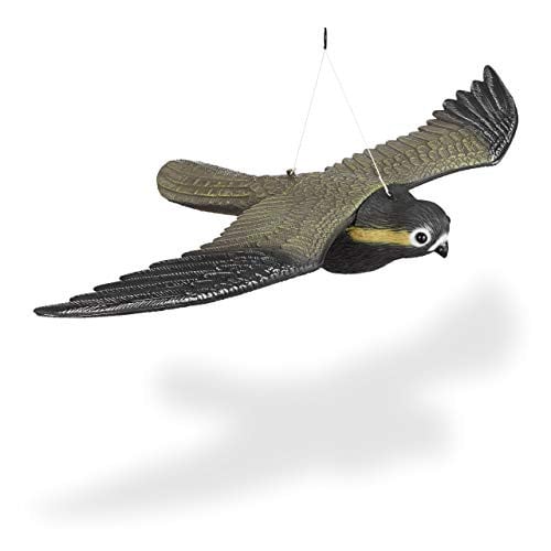 Relaxdays vliegende roofvogel vogelverschrikker, meerkleurig