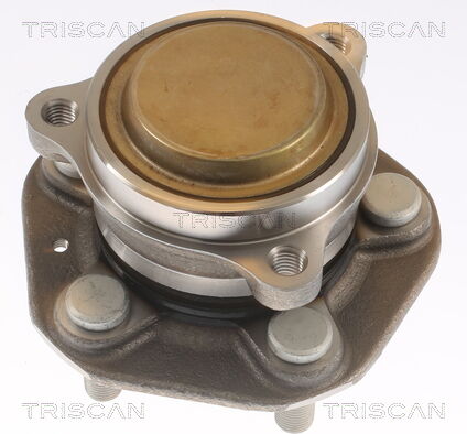 Triscan Radlagersatz 853081102 Für Tesla