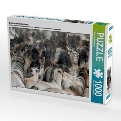 CALVENDO Puzzle Dülmener Wildpferde | 1000 Teile Lege-Größe 64x48cm Foto-Puzzle für glückliche Stunden