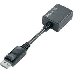 TECHly IADAP-DSP-250 DisplayPort / VGA Adapter [1x DisplayPort Stecker - 1x VGA-Buchse] Schwarz 0 mm