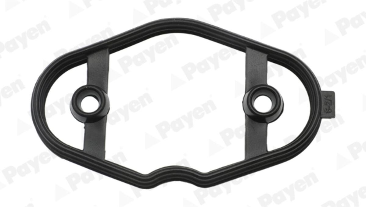 Payen Guarnizione, pompa carburante KK5750