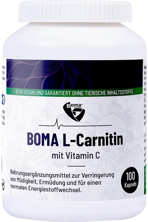 L-carnitin 500 Kapseln 100stk