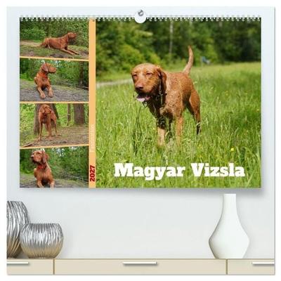 Faszination Magyar Vizsla (hochwertiger Premium Wandkalender 2027 DIN A2 quer), Kunstdruck in Hochglanz