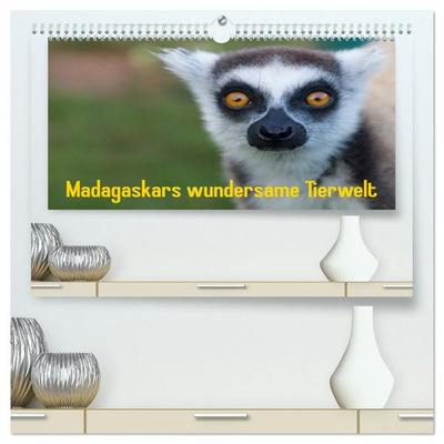 Madagaskars wundersame Tierwelt (hochwertiger Premium Wandkalender 2026 DIN A2 quer), Kunstdruck in Hochglanz