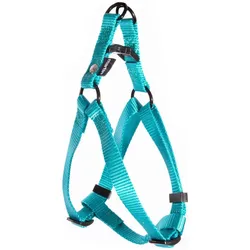 Martin Sellier Baud XL (XL, Hund, Spazieren), Halsband + Leine