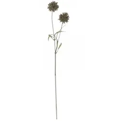 Chic Antique Fleur Distel 2, H75/L16/B8 cm, heide