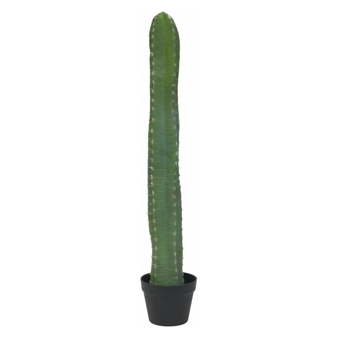 Europalms Mexikanischer Kaktus (97 cm) (82801070)