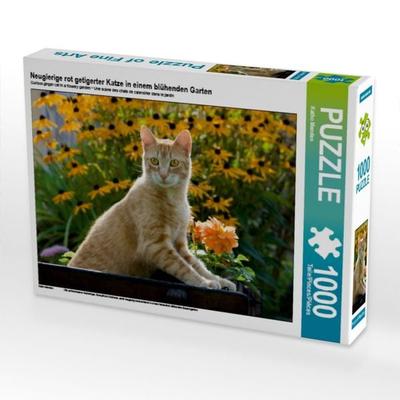 CALVENDO Puzzle Neugierige rot getigerter Katze in einem blühenden Garten | 1000 Teile Lege-Größe 64x48cm Foto-Puzzle für glückliche Stunden