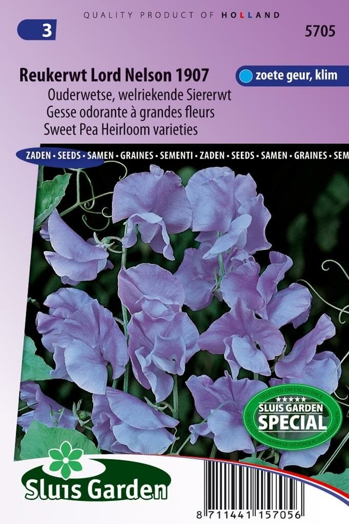 Sluis Garden Lathyrus Odoratus zaden Lord Nelson 1907 reukerwt