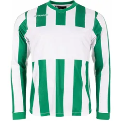 Stanno, Unisex, Sportshirt, Aspire Langarm Trikot (XL), Grün