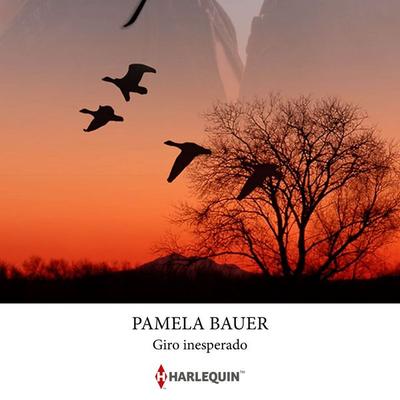 Giro inesperado - Pamela Bauer, Audio, 9791370326791
