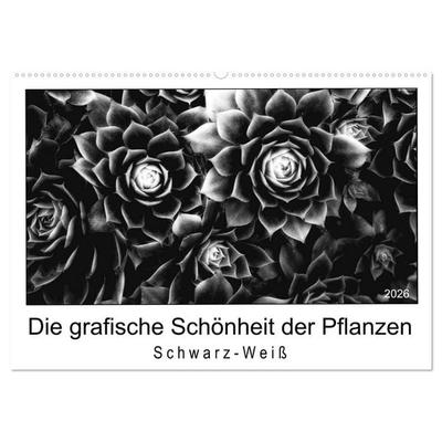 Die grafische Schönheit der Pflanzen – Schwarz-Weiß (Wandkalender 2026 DIN A2 quer), CALVENDO Monatskalender