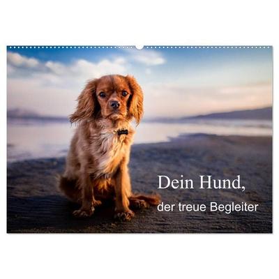 Dein Hund der treue Begleiter (Wandkalender 2026 DIN A2 quer), CALVENDO Monatskalender