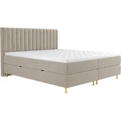 BOXBETT Elegance - H3