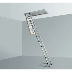 Telesteps Black Line Bodentreppe 2,5-3m