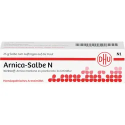 Arnica Salbe N 25 G
