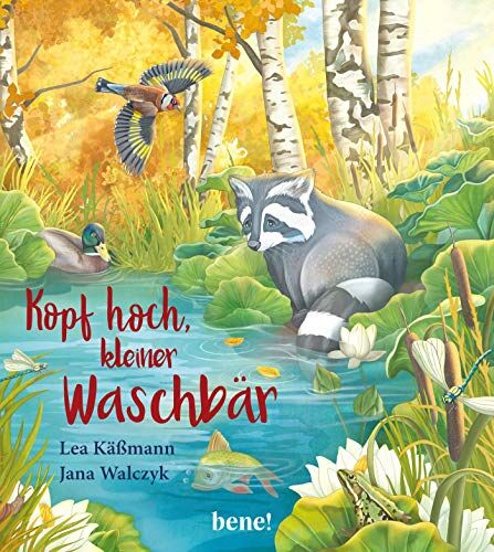 Lea Käßmann - Kopf hoch, kleiner Waschbär – ein Bilderbuch für Kinder ab 2 Jahren (Die Abenteuer des kleinen Waschbären, Band 5) - Preis vom 17.10.2026 19:25:27 h