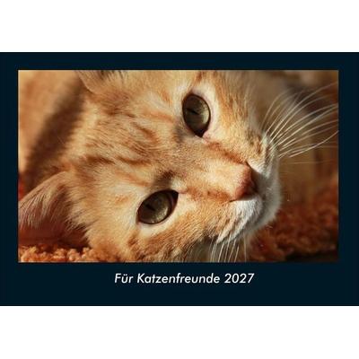 Für Katzenfreunde 2027 Fotokalender DIN A4