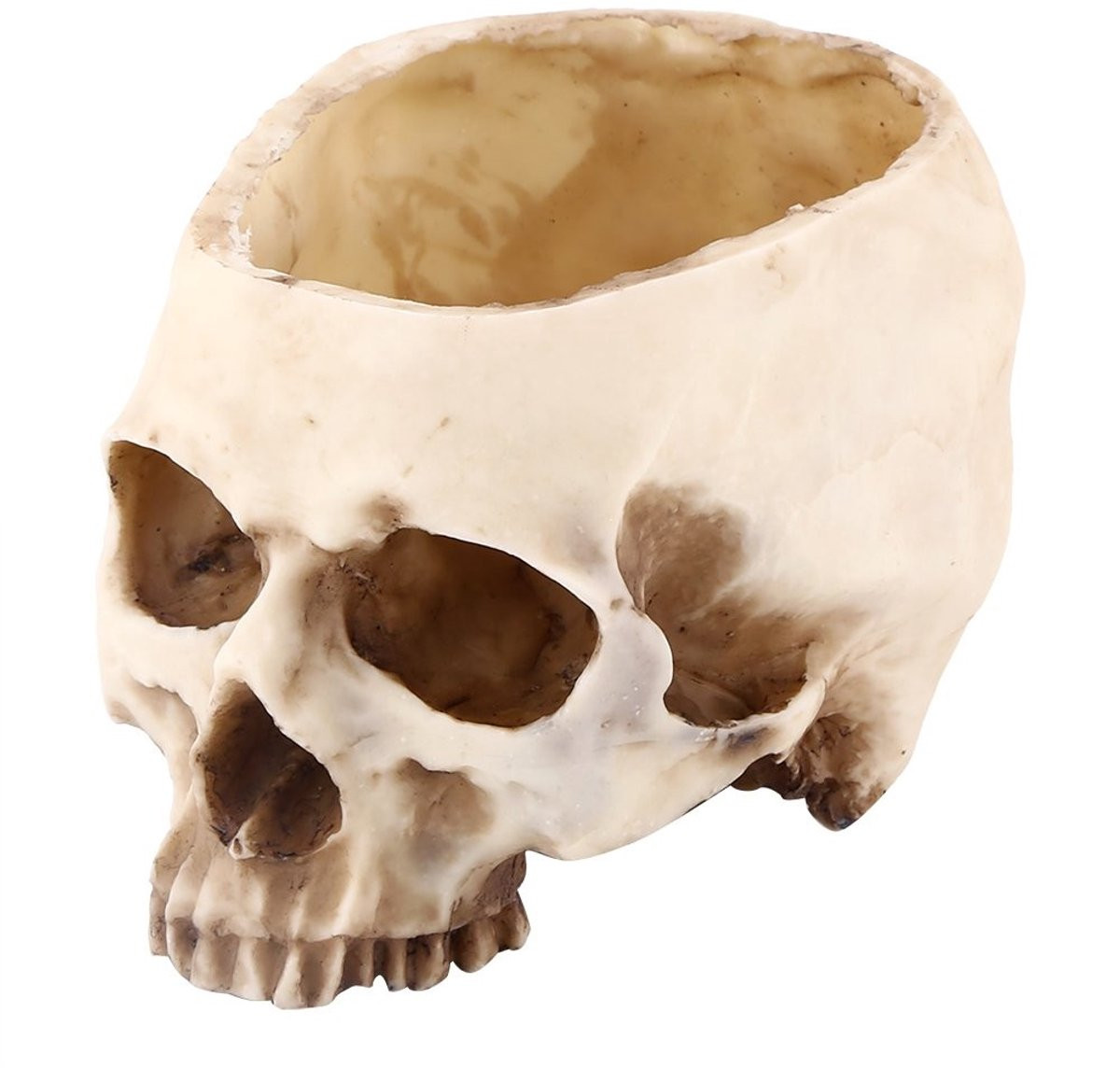 Dailygoods Schedel Bloempot Groot Formaat - Hars - Halloween Decoratie