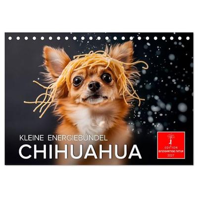 Chihuahua - kleine Energiebündel (Tischkalender 2027 DIN A5 quer), CALVENDO Monatskalender