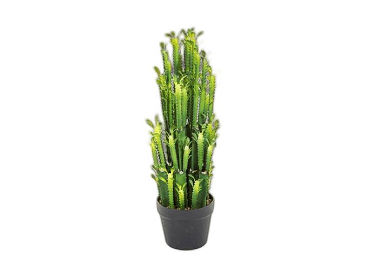 Lebensechte Kunstpflanze „Euphorbia Trigona Cactus“, Ø 20 x 64 cm Grün Baq Design