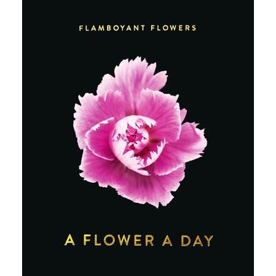 Flamboyant Flowers
