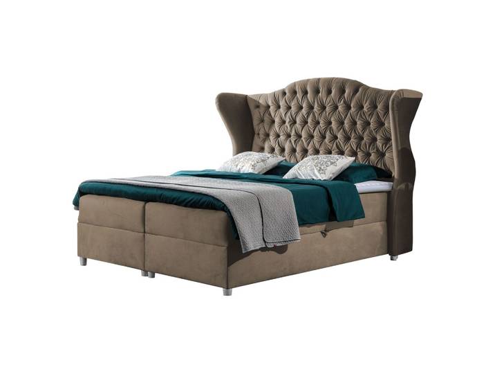 BOXBETT Livia - H3