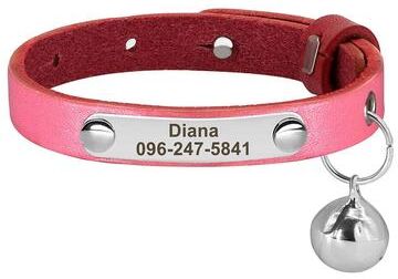 Uplifted Finds Signature Series Personalized Identity Collar 320 Pink (15 23cm)