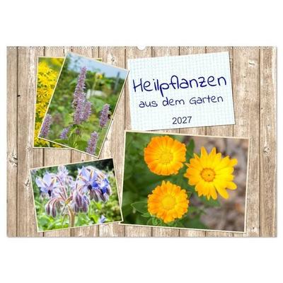 Heilpflanzen aus dem Garten (Wandkalender 2027 DIN A2 quer), CALVENDO Monatskalender