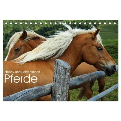 Pferde - Hobby und Leidenschaft (Tischkalender 2027 DIN A5 quer), CALVENDO Monatskalender