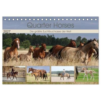 Quarter Horses - Die größte Zuchtbuchrasse der Welt (Tischkalender 2027 DIN A5 quer), CALVENDO Monatskalender