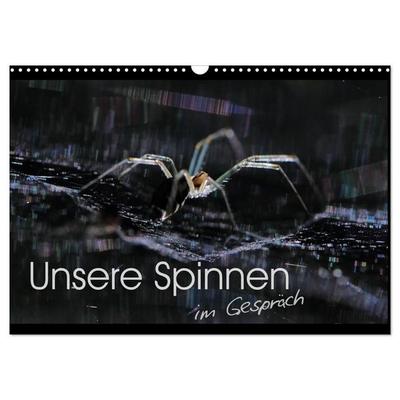 Unsere Spinnen - im Gespräch (Wandkalender 2027 DIN A3 quer), CALVENDO Monatskalender