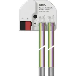 Gira Tasterschnittst. 8f 519800