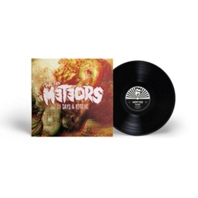 40 Days A Rotting(180g Black Vinyl) - The Meteors, Vinyl