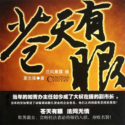 苍天有眼 - 夏志强, Audio, 4099995946888