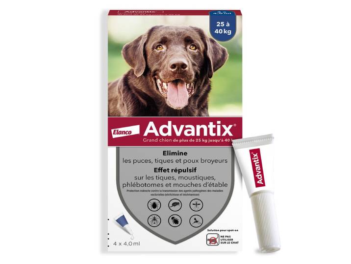 Advantix® Grand Chien – Traitement Anti-Puces et Tiques – 25-40 kg – 4 Pipettes